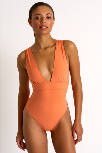 Timeless plunging one-piece swimsuit